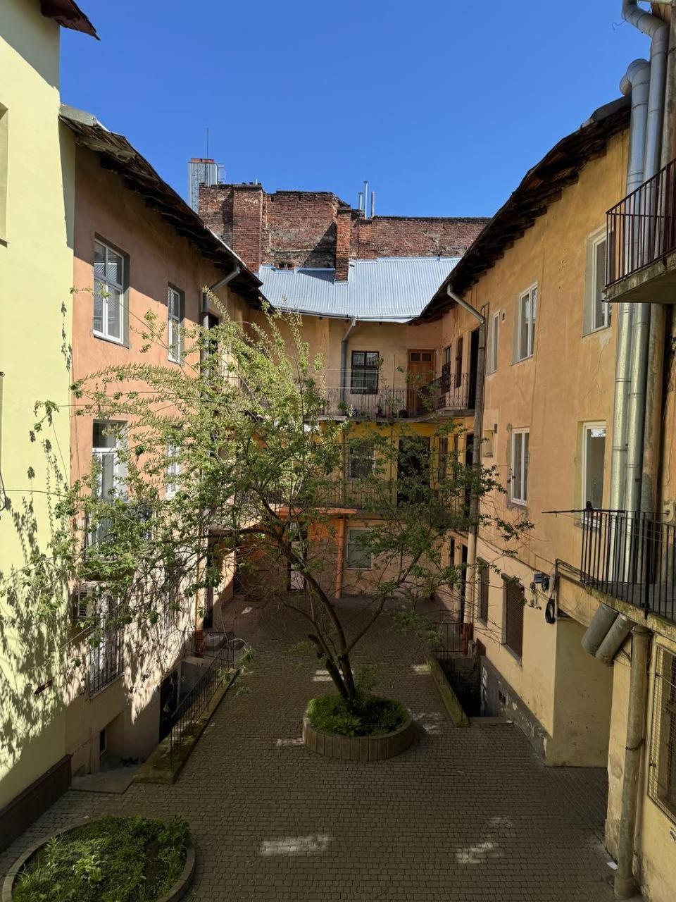 Elite Apart Near Svoboda Avenue Lwów Zewnętrze zdjęcie